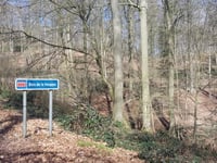 Bois de la Houppe
