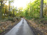 Bois de la Houssière über Charly des Bois
