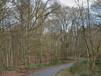 Bois de la Houssière z Hennuyères przez Rue de la Chapelle au Foya