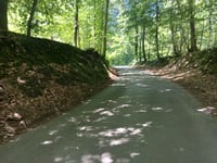 Bois de la Houssière from Ronquières via Point du Jour