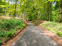 Bois de Ligne