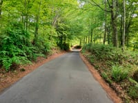 Bois de Ligne