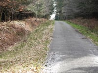 Bois de Mangoister