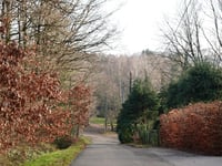 Bois de Mariomont