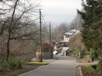 Bois de Mariomont