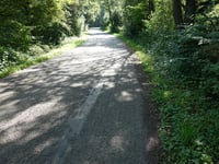 Bois de Mauhin