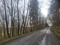 Bois de Mauhin