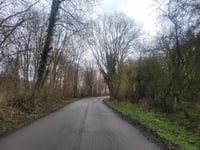 Bois de Mauhin