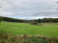 Bois de Rassouster da Royompré
