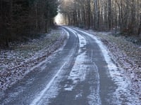 Bois de Rassouster da Royompré