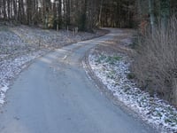 Bois de Rassouster da Royompré