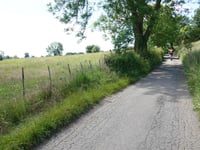 Bois de Rechain da Grand-Rechain
