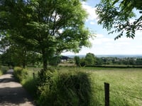 Bois de Rechain da Grand-Rechain