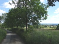 Bois de Rechain da Grand-Rechain