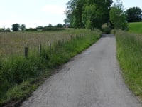 Bois de Rechain da Grand-Rechain