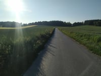 Bois de Samer von Dalles