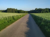 Bois de Samer von Dalles