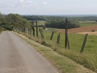 Bois de Sel von Étaples