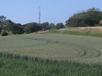 Bois de Sel von Étaples
