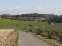 Bois de Sel von Étaples