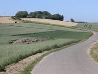 Bois de Sel von Étaples