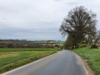 Bois de Soheit desde Nandrin
