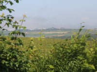Bois de Souverain Moulin von Pittefaux