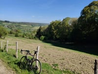 Bois de Vecqueterre von Winamplanche
