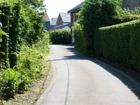 Bois de Vecqueterre von Winamplanche