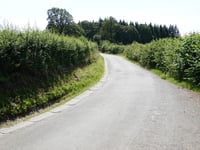 Bois de Vecqueterre von Winamplanche