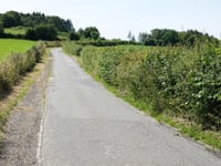 Bois de Vecqueterre von Winamplanche