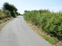 Bois de Vecqueterre von Winamplanche