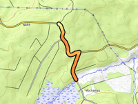 Bois des Dames da Mochamps