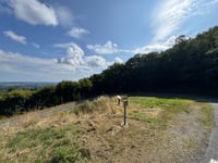 Bois des Échelles von Galachoux
