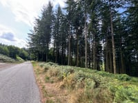 Bois des Échelles von Galachoux
