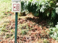 Bois des Échelles von Galachoux