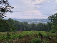 Bois des Échelles da Saint-Sulpice-Laurière