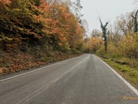 Bois des Hospices
