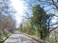 Bois des Houlpais depuis Jupille-sur-Meuse
