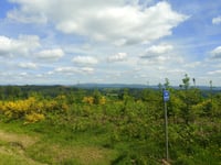 Bois des Milleris von Hamanxard