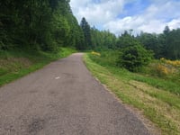 Bois des Milleris da Hamanxard