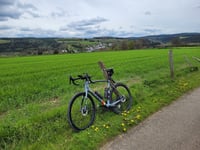 Bois des Moines von Houffalize