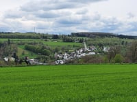 Bois des Moines von Houffalize
