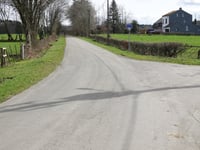 Bois domanial de la Hoëgne via Solwaster