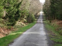 Bois domanial de la Hoëgne via Solwaster