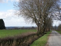 Bois domanial de la Hoëgne via Solwaster