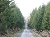 Bois domanial de la Hoëgne via Solwaster