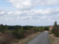 Bois domanial de la Hoëgne via Solwaster