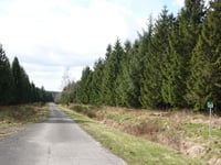 Bois domanial de la Hoëgne via Solwaster