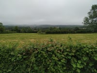 Bois du Coq